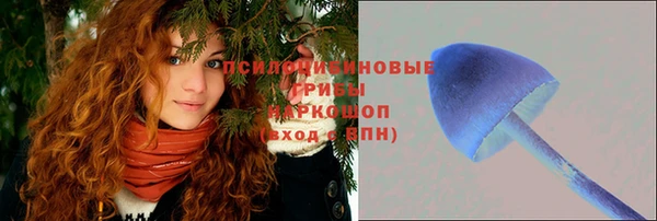 мескалин Аркадак