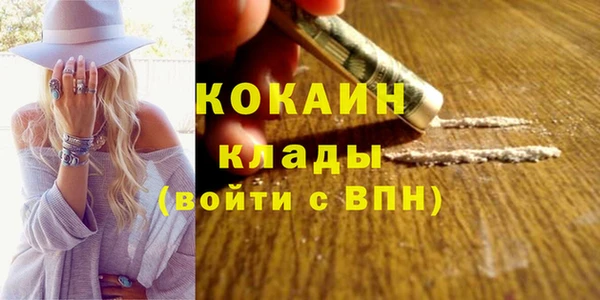 дмт Арсеньев